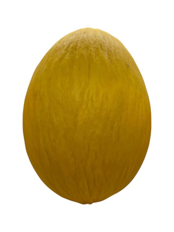 Melone Giallo pz.1