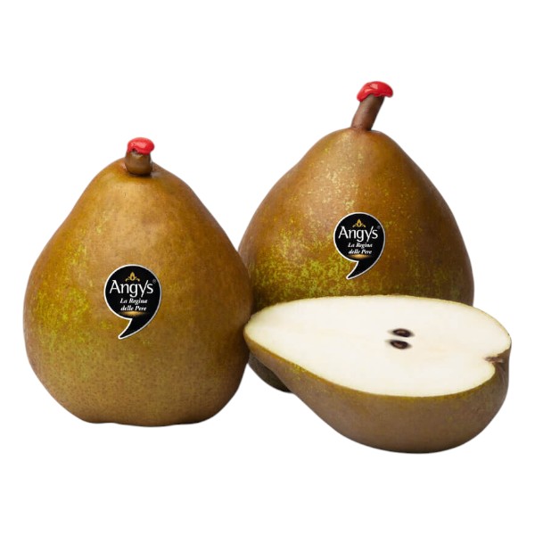 Pere Angys Gr.500